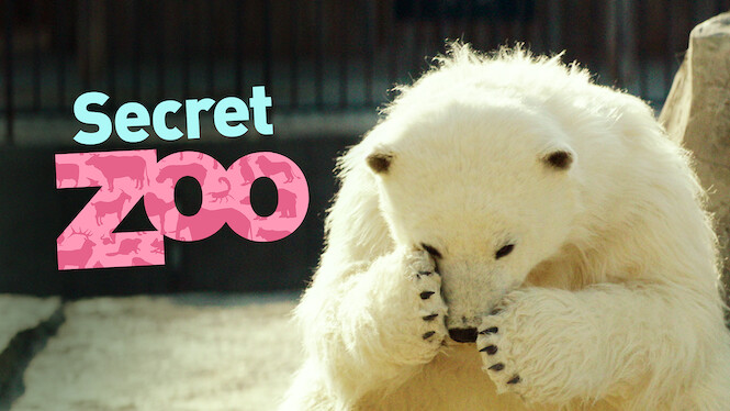 secret zoo online cz